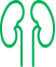 KIDNEY
